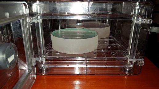 Large Ti:Sapphire Laser Mirror Side